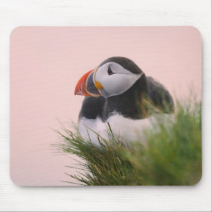 Tapis De Souris Macareux atlantique (Fratercula arctica)