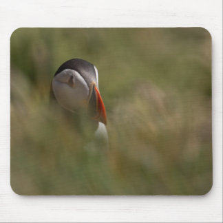 Tapis De Souris Macareux de cache-cache