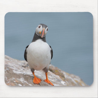 Tapis De Souris Macareux d'île de Skomer
