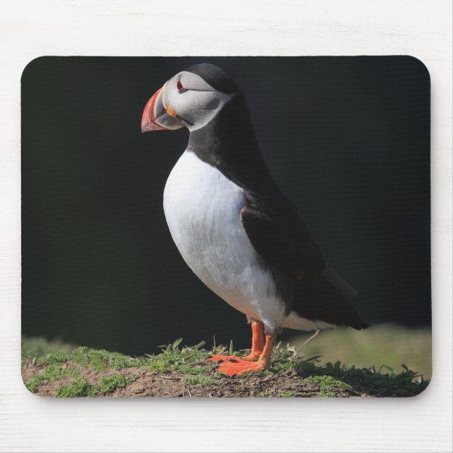 Tapis De Souris Macareux d'île de Skomer (Devant)