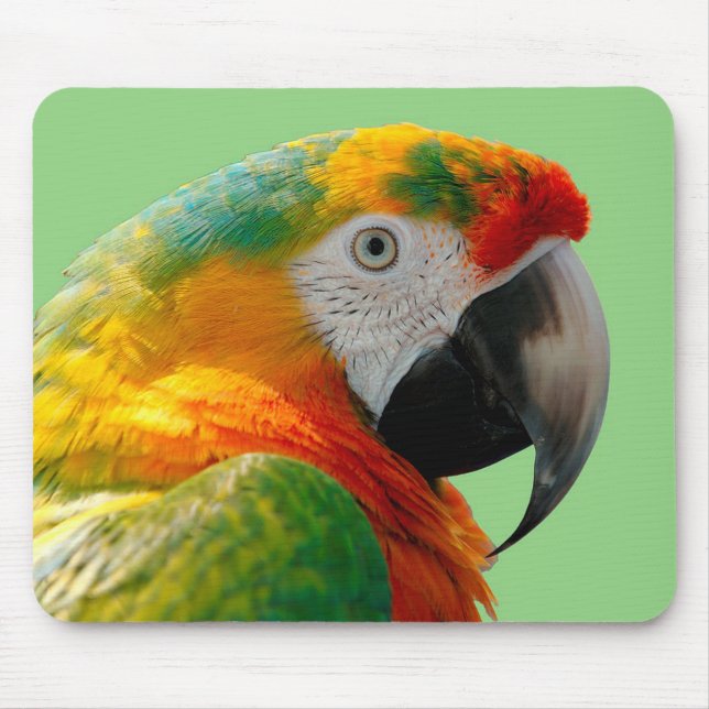 Tapis De Souris Macaw (Devant)