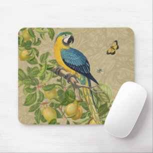 Tapis De Souris Macaw Blue Jaune Tropical Jungle Antique