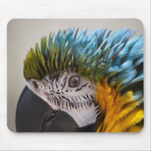 Tapis De Souris Macaw Parrot - Mousepad