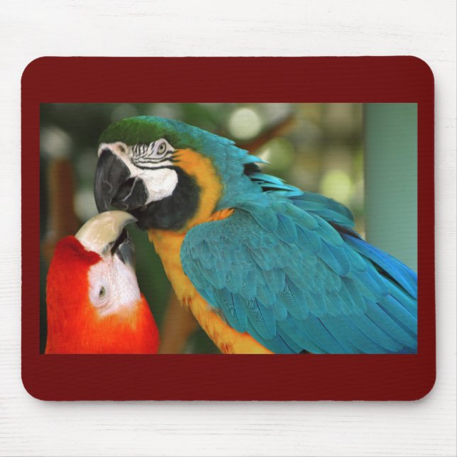 Tapis De Souris Macaws (Devant)
