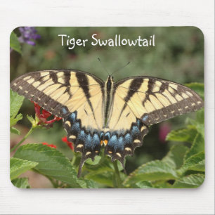 Tapis De Souris Machaon de tigre