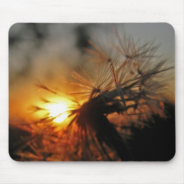 Tapis De Souris Macro Dandelion Sunset Mousepad (Devant)