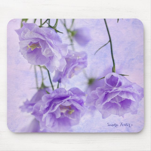 Tapis De Souris Macro Fleurs Campanella Violet (Devant)