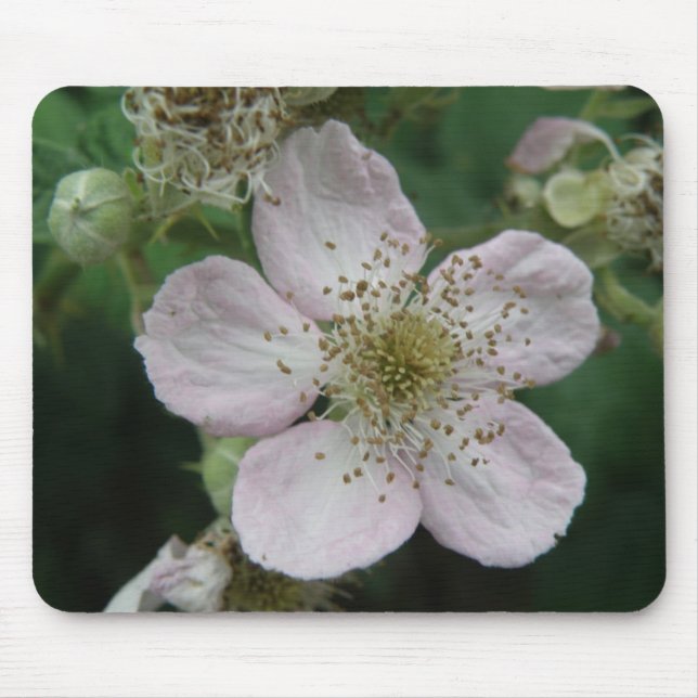 Tapis De Souris Macro mousepad à la fleur de Blackberry (Devant)