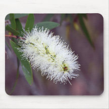 Macro plante de photo sur un mousepad