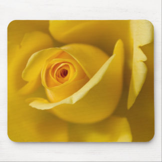 Tapis De Souris Macro rose jaune