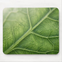 Tapis de Souris Macro Veines de Feuille Verte Natu