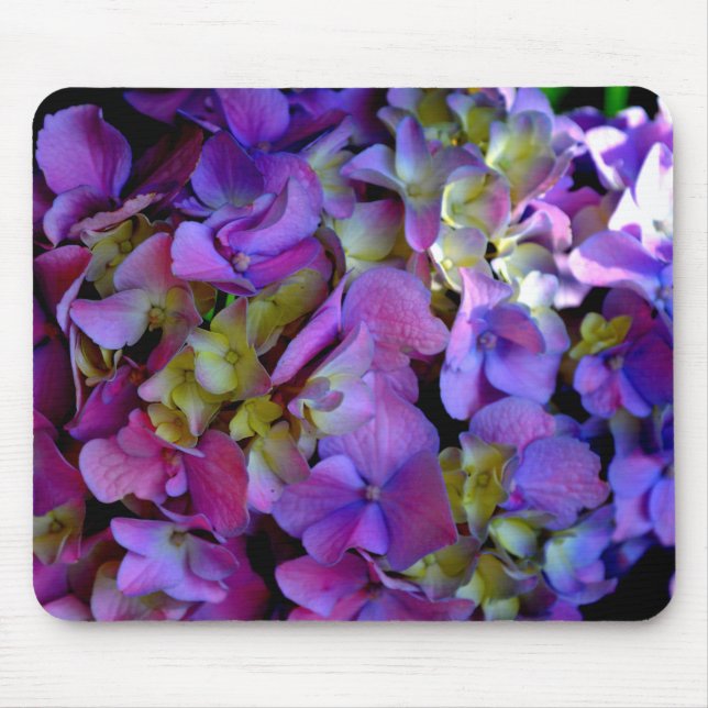 Tapis De Souris Magenta Purple bleu jaune Hydrangeas fleurs (Devant)