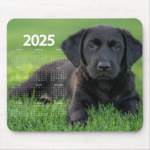 Tapis De Souris Magnifique Black Labrador 2025 Calendrier des chie