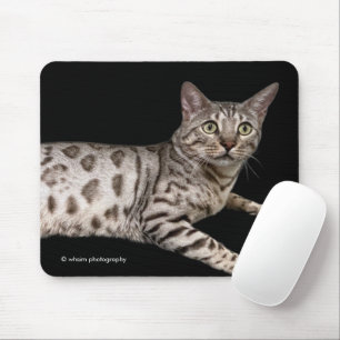 Tapis De Souris Magnifique chat du Bengale se détendant dans la co