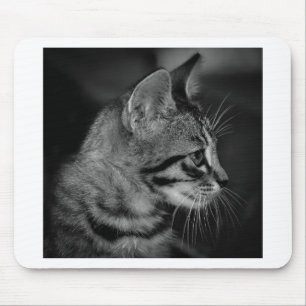 Tapis De Souris Magnifique chaton noir et blanc