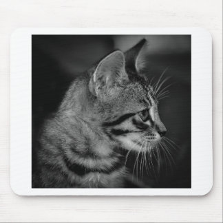 Tapis De Souris Magnifique chaton noir et blanc