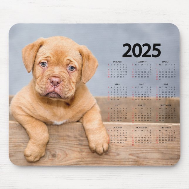 Tapis De Souris Magnifique Chiot Brown 2025 Calendrier Chien (Devant)