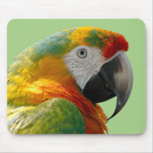 Tapis De Souris Magnifique et colorée Macaw Parrot