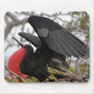 Tapis De Souris Magnifique Frigate Bird