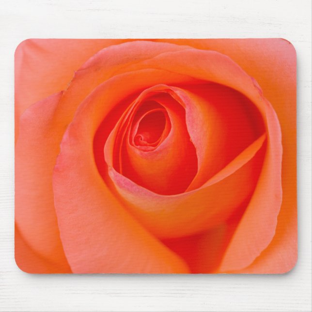 Tapis De Souris Magnifique Orange Rose Bud (Devant)