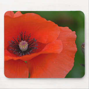 Tapis De Souris Magnifique Pavot Rouge
