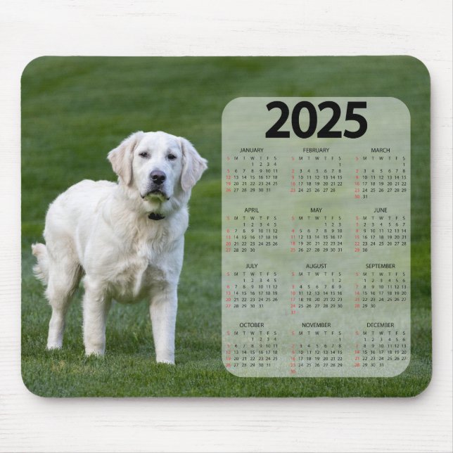 Tapis De Souris Magnifique White Labrador 2025 Calendrier des chie (Devant)