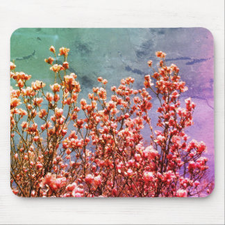 Tapis De Souris Magnolia Blossoms Blue Sky Flower Art