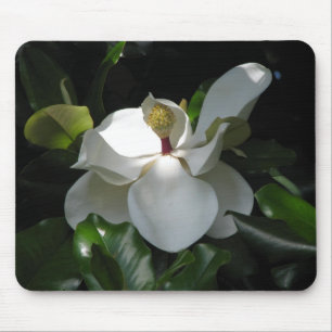 Tapis De Souris Magnolia du sud