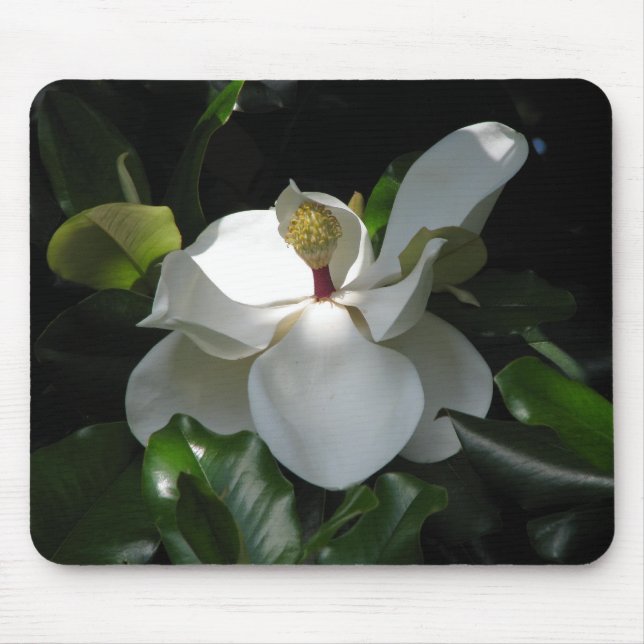 Tapis De Souris Magnolia du sud (Devant)