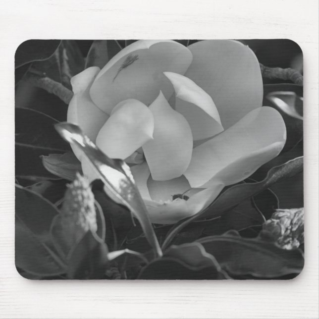 Tapis De Souris Magnolia Intemporelle (Devant)
