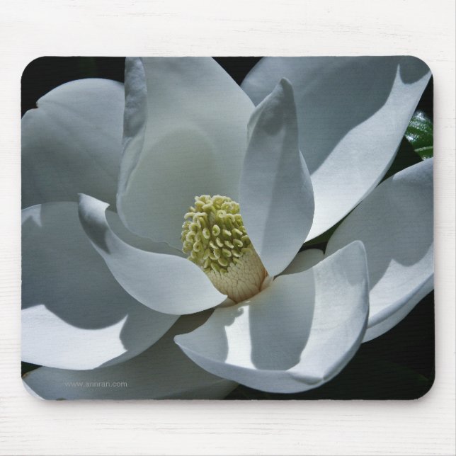 Tapis De Souris Magnolia Mousepad (Devant)