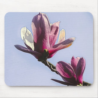 Tapis De Souris Magnolia Vintage Floral Botanique Blossom Chic