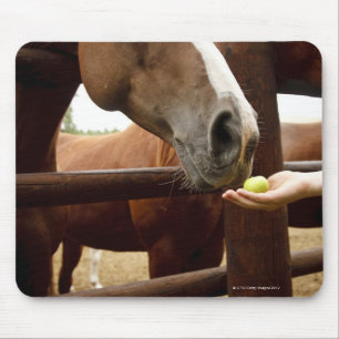 Tapis De Souris Main alimentant à un cheval une pomme