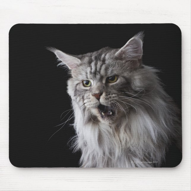 Tapis De Souris Maine Coon cat 2 (Devant)