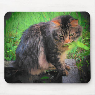 Tapis De Souris Maine Coon Chat sur briques