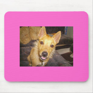 Tapis De Souris "Maisie" le Jack Russell