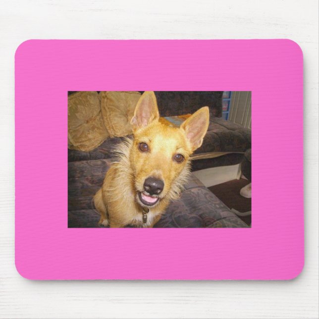 Tapis De Souris "Maisie" le Jack Russell (Devant)