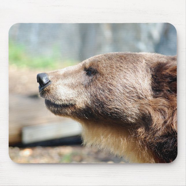 Tapis De Souris Maître Bruin (Devant)