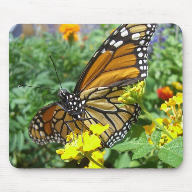 Tapis De Souris Majesté de monarque (1) Mousepad (Devant)