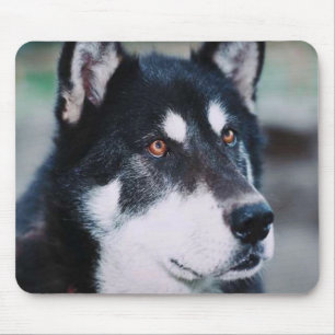 Tapis De Souris Malamute d'Alaska