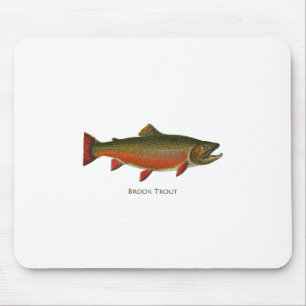 Tapis De Souris Mâle de truite de ruisseau (engendrant la phase)