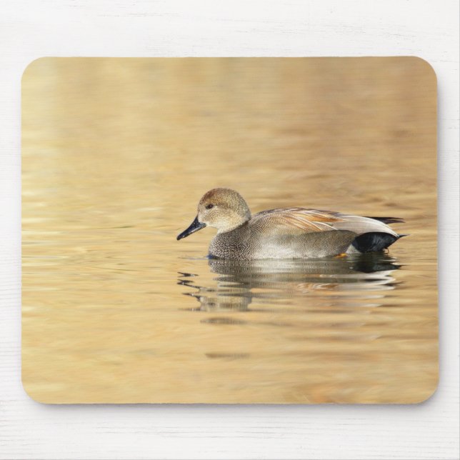 Tapis De Souris Male Gadwall (Devant)