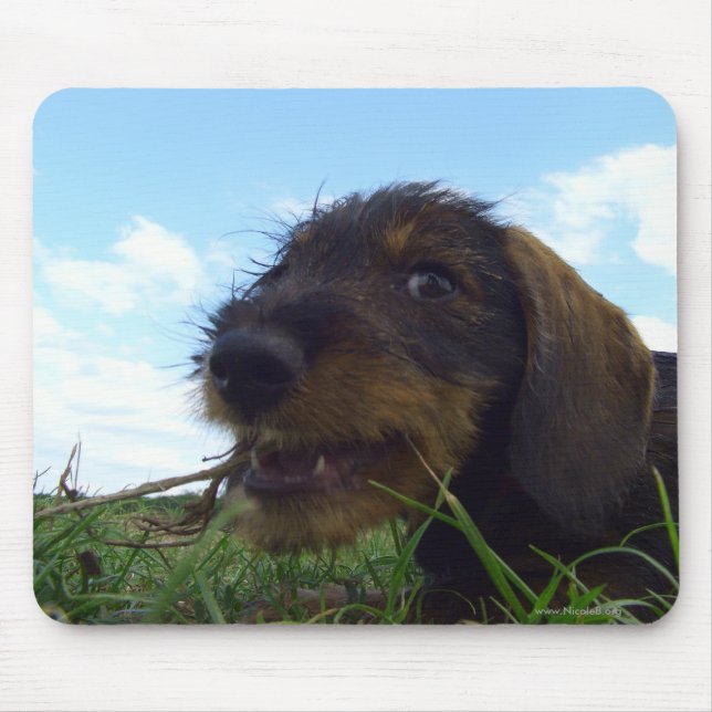 Tapis De Souris Malfaisant (Devant)