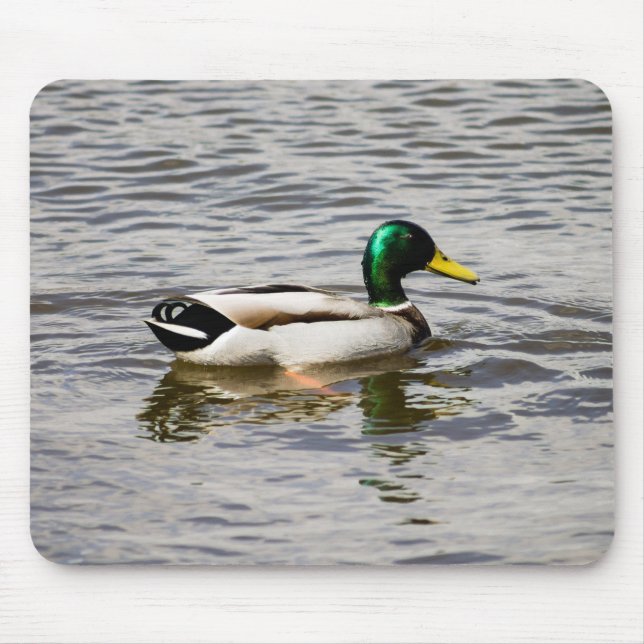 Tapis De Souris Mallard Drake (Devant)