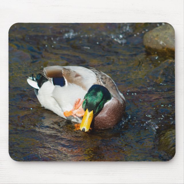 Tapis De Souris Mallard Drake (Devant)