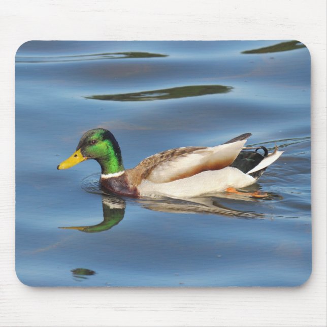 Tapis De Souris Mallard Duck (Devant)