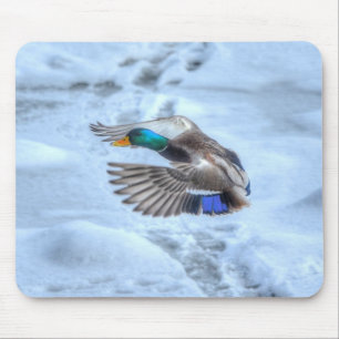 Tapis De Souris Mallard Duck Birdlover Wildlife Photo