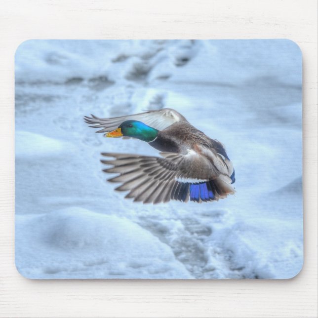 Tapis De Souris Mallard Duck Birdlover Wildlife Photo (Devant)