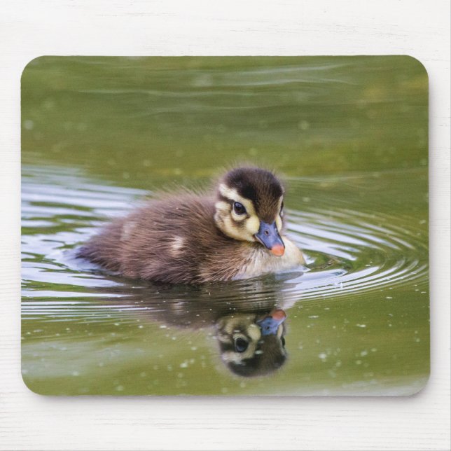 Tapis De Souris Mallard Duckling (Devant)