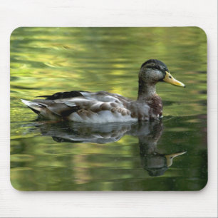 Tapis De Souris Mallard Mirror Sur L'Eau Verte